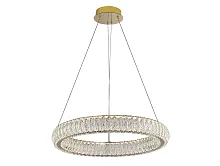 Люстра подвесная LED 8291/60 gold Newport прозрачная на 1 лампу, основание золотое в стиле современный кольца