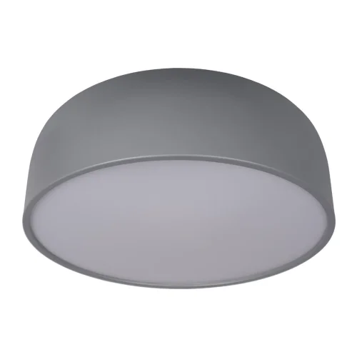 Светильник потолочный LED Axel 10201/480 Grey LOFT IT белый серый 1 лампа, основание серое в стиле современный  фото 3