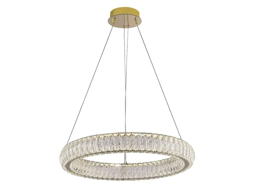 Люстра подвесная LED 8291/60 gold Newport прозрачная на 1 лампу, основание золотое в стиле современный кольца