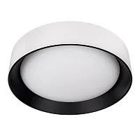 Светильник потолочный LED Coin 10202 WB LOFT IT белый на 1 лампу, основание чёрное белое в стиле современный круглый