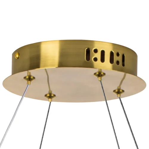 Светильник подвесной LED Vidare 699063 Lightstar прозрачный на 1 лампу, основание золотое в стиле современный кольца фото 4 Светильник подвесной LED Vidare 699063 Lightstar прозрачный на 1 лампу, основание золотое в стиле современный кольца фото 4