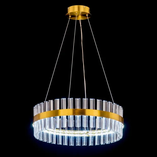 Люстра подвесная LED с пультом Рианна CL337053 Citilux прозрачная на 1 лампа, основание бронзовое в стиле современный лофт арт-деко с пультом фото 3