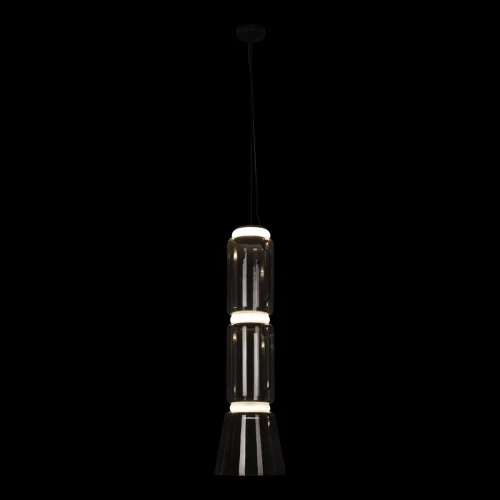 Светильник подвесной LED Noctambule 10193/M LOFT IT прозрачный 1 лампа, основание чёрное в стиле современный  фото 4