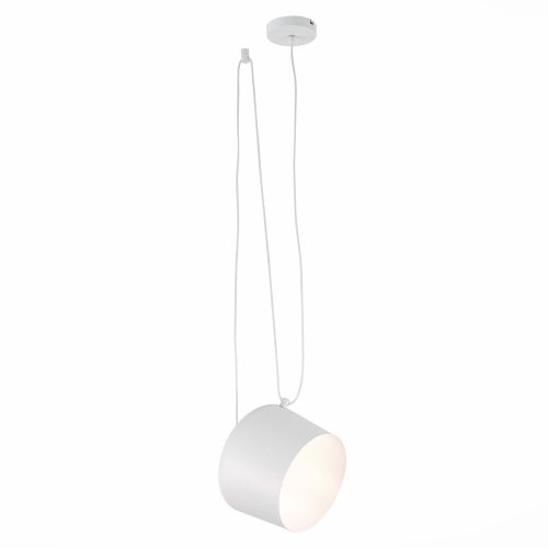 Светильник подвесной Trieste SLE120653-01 Evoluce белый 1 лампа, основание белое в стиле лофт 
