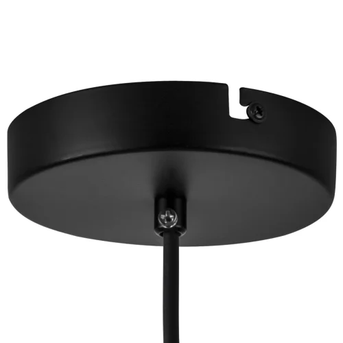 Светильник подвесной Loft 765047 Lightstar чёрный на 1 лампу, основание чёрное в стиле современный лофт фото 4