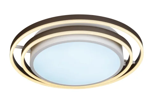 Люстра потолочная LED с пультом Summery B6308-101W/620 WH iLedex белая на 1 лампа, основание чёрное в стиле современный хай-тек с пультом кольца фото 3