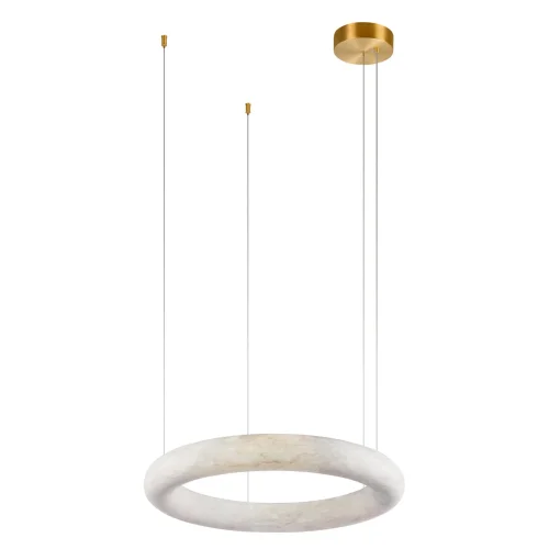 Светильник подвесной LED Oslo 10407/600 LOFT IT белый на 1 лампу, основание бронзовое в стиле современный кольца