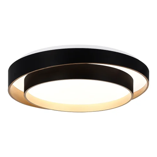 Светильник потолочный LED Crosby SLE6009-402-01 Evoluce белый на 1 лампу, основание чёрное в стиле минимализм 