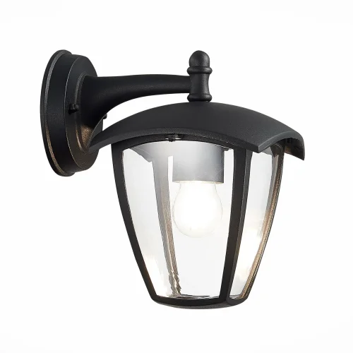 Настенный светильник Sivino SL081.411.01 ST-Luce уличный IP44 чёрный 1 лампа, плафон прозрачный в стиле модерн E27 фото 3