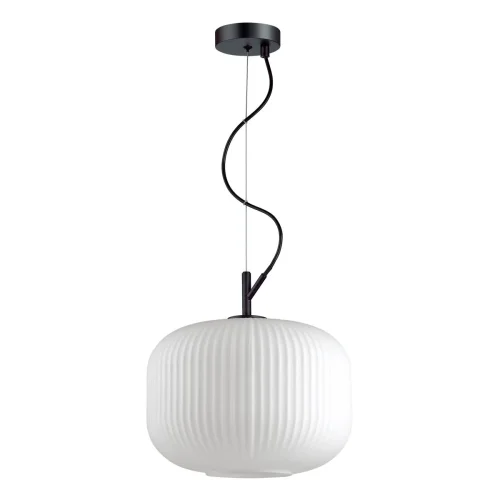 Светильник подвесной Roofi 4754/1 Odeon Light белый 1 лампа, основание чёрное в стиле современный выдувное