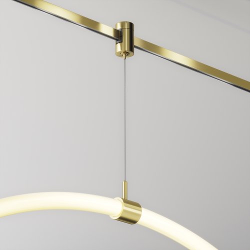 Коннектор с тросовым подвесом Tau в шинопровод Flarity латунь TRA154SW-1BS Maytoni латунь в стиле хай-тек современный для светильников серии Magnetic trаck system Flarity flarity магнитная фото 5 Коннектор с тросовым подвесом Tau в шинопровод Flarity латунь TRA154SW-1BS Maytoni латунь в стиле хай-тек современный для светильников серии Magnetic trаck system Flarity flarity магнитная фото 5