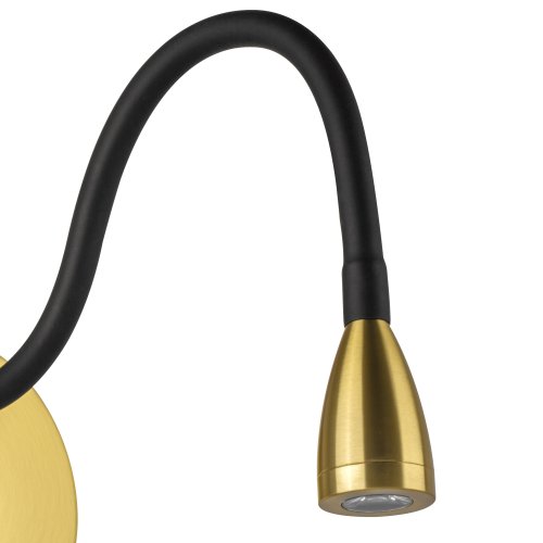 Бра с выключателем LED Muro 808631 Lightstar латунь на 1 лампу, основание латунь в стиле современный хай-тек минимализм гибкая ножка для чтения фото 5