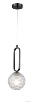 Светильник подвесной Pierre MR2242-1P MyFar прозрачный 1 лампа, основание чёрное в стиле современный шар