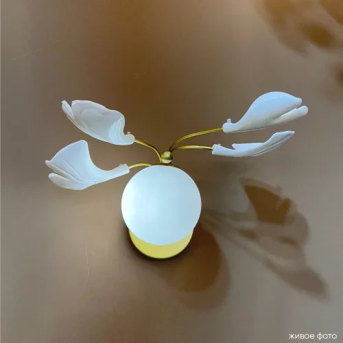 Бра COLIBRI AP1 GOLD Crystal Lux белый на 1 лампа, основание золотое в стиле флористика шар фото 4