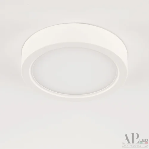 Светильник накладной LED Ingrid 3322.LDY6004M/6W/6K Arte Perfetto Luce белый 1 лампа, основание белое в стиле модерн круглый фото 5