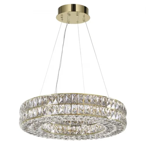 Люстра подвесная LED Panta 4926/52L Odeon Light прозрачная на 1 лампа, основание золотое в стиле современный кольца