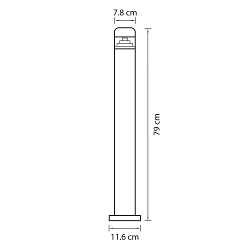 Парковый светильник LED RAGGIO 376707 Lightstar уличный IP55 чёрный 1 лампа, плафон прозрачный чёрный в стиле хай-тек LED фото 2