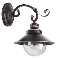 Бра Grazioso A4577AP-1CK Arte Lamp прозрачный 1 лампа, основание коричневое в стиле кантри 