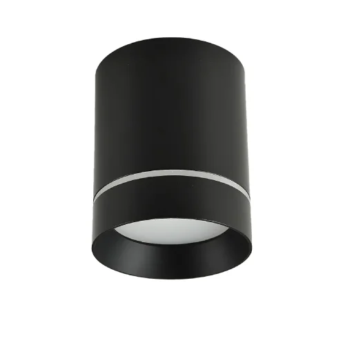 Светильник накладной Darar 3063-1C Favourite чёрный 1 лампа, основание чёрное в стиле современный круглый фото 2