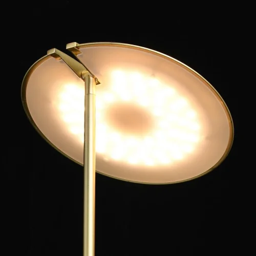 Торшер LED Гэлэкси 632045802 DeMarkt для чтения латунь 1 лампа, основание латунь в стиле хай-тек
 фото 4