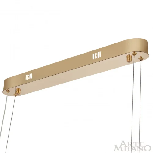 Люстра подвесная LED с пультом AM-Venezia 318311/D600 GD Arte Milano прозрачная на 1 лампу, основание золотое в стиле современный кольца с пультом фото 6