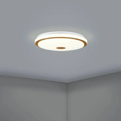 Светильник потолочный LED Lanciano 1 900598 Eglo белый 1 лампа, основание белое в стиле современный  фото 6