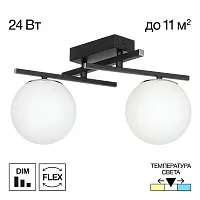 Светильник потолочный LED Dorsy CL223122 Citilux белый на 2 лампы, основание чёрное в стиле современный шар