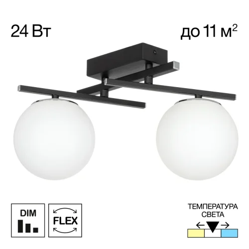 Светильник потолочный LED Dorsy CL223122 Citilux белый на 2 лампы, основание чёрное в стиле современный шар