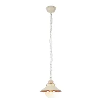 Светильник подвесной лофт Grazioso A4577SP-1WG Arte Lamp белый прозрачный 1 лампа, основание золотое белое в стиле лофт 