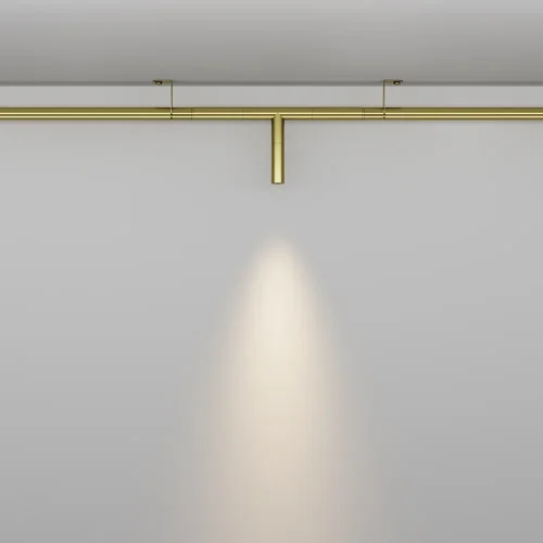 Светильник для штанговой системы освещения LED Axity C102CL-3W3K-BS Maytoni латунь для шинопроводов серии Axity латунь фото 4