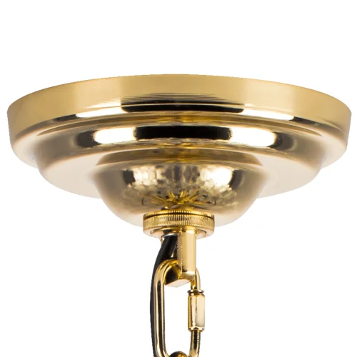 Люстра подвесная Retro 799122 Lightstar прозрачная на 12 ламп, основание золотое в стиле современный фото 4 Люстра подвесная Retro 799122 Lightstar прозрачная на 12 ламп, основание золотое в стиле современный фото 4