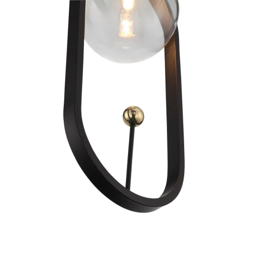 Светильник подвесной Circono SL1201.403.01 ST-Luce прозрачный 1 лампа, основание чёрное в стиле современный  фото 2