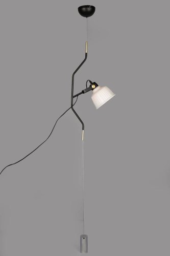 Светильник подвесной Zamora OML-28216-01 Omnilux белый 1 лампа, основание чёрное в стиле современный  фото 2