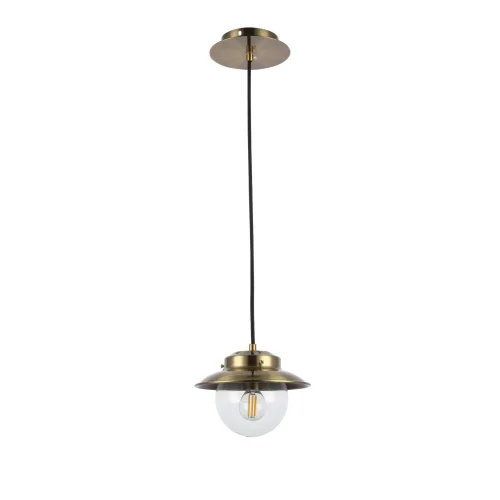 Светильник подвесной Garonni SLE110103-01 Evoluce прозрачный 1 лампа, основание античное бронза в стиле современный  фото 2