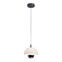 Светильник подвесной LED Poughkeepsie LSP-7524 Lussole белый на 1 лампу, основание чёрное в стиле современный 