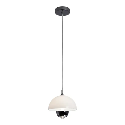 Светильник подвесной LED Poughkeepsie LSP-7524 Lussole белый на 1 лампу, основание чёрное в стиле современный 