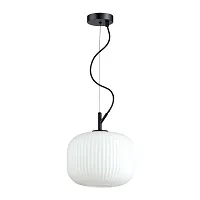 Светильник подвесной Roofi 4753/1 Odeon Light белый 1 лампа, основание чёрное в стиле современный выдувное