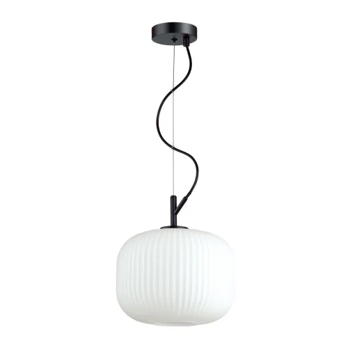 Светильник подвесной Roofi 4753/1 Odeon Light белый 1 лампа, основание чёрное в стиле современный выдувное