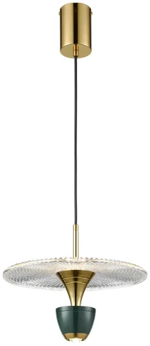 Светильник подвесной LED Ebbo WE471.02.396 Wertmark прозрачный 1 лампа, основание золотое в стиле современный 