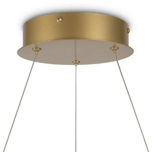 Светильник подвесной LED Nola MOD100PL-L47BSK1 Maytoni латунь 1 лампа, основание латунь в стиле современный минимализм кольца фото 6