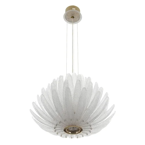 Люстра подвесная Deltoro CL327160 Citilux прозрачная на 1 лампу, основание золотое в стиле современный флористика арт-деко фото 2