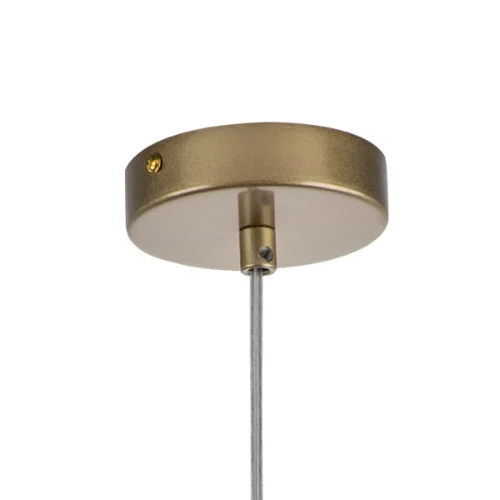 Светильник подвесной Ramo 690113 Lightstar белый 1 лампа, основание матовое золото в стиле современный  фото 2