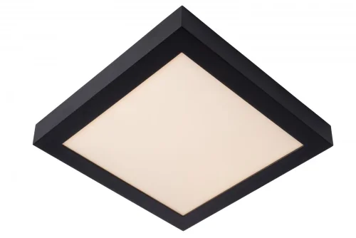 Светильник потолочный LED Brice-Led 28117/30/30 Lucide белый 1 лампа, основание чёрное в стиле современный квадраты