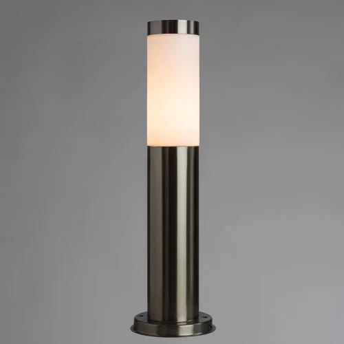 Настенный светильник Salire A3158PA-1SS Arte Lamp уличный IP44 матовый серебро 1 лампа, плафон белый в стиле современный E27 фото 2