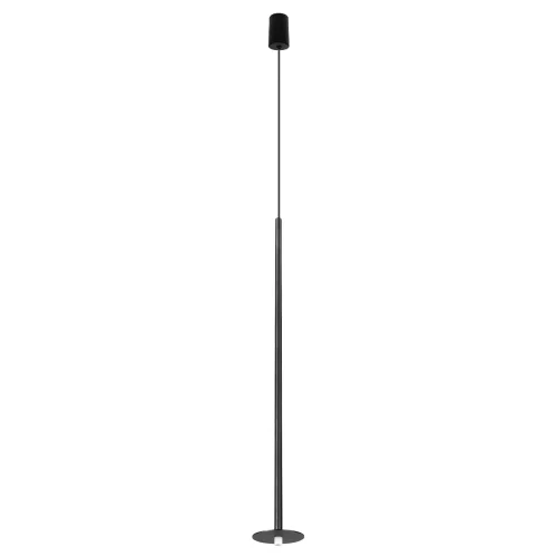 Светильник подвесной LED Reed 10358/830 Disk LOFT IT чёрный на 1 лампу, основание чёрное в стиле современный минимализм трубочки фото 2