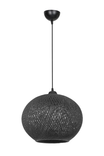 Светильник подвесной Lizbeth TL1612H-01BK Toplight чёрный на 1 лампу, основание чёрное в стиле лофт современный 