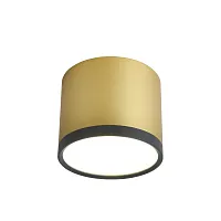 Светильник накладной LED Baral 3082-2C Favourite золотой 1 лампа, основание золотое в стиле современный круглый