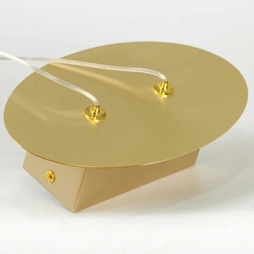 Светильник подвесной LED Lampasas LSP-7421 Lussole прозрачный на 1 , основание матовое золото в стиле современный хай-тек фото 5