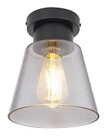 Светильник потолочный Gumba 15561D Globo прозрачный 1 лампа, основание чёрное в стиле лофт современный 