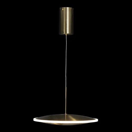 Светильник подвесной LED Ruedo 10036/300 LOFT IT золотой 1 лампа, основание золотое в стиле хай-тек модерн  фото 4